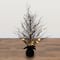 3ft. Pre-Lit Halloween Black Twig Artificial Fall Tree in Burlap Planter